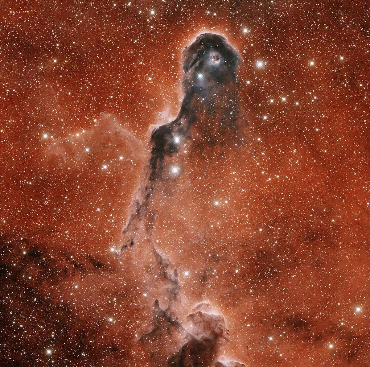 Photograph of Elephant's Trunk (IC 1396), an emission nebula in Cepheus