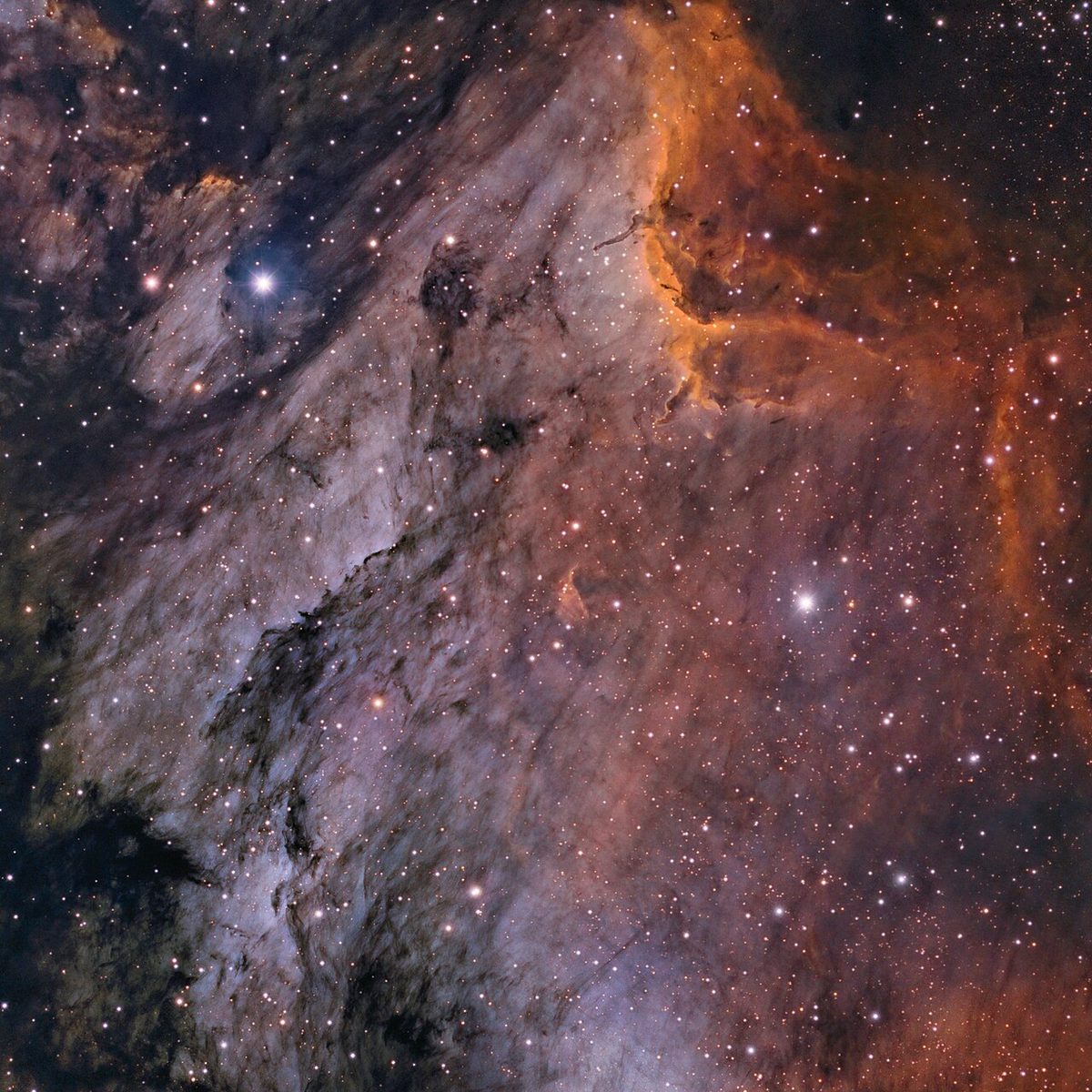 Photograph of Pelican Nebula (IC 5070), an emission nebula in Cygnus