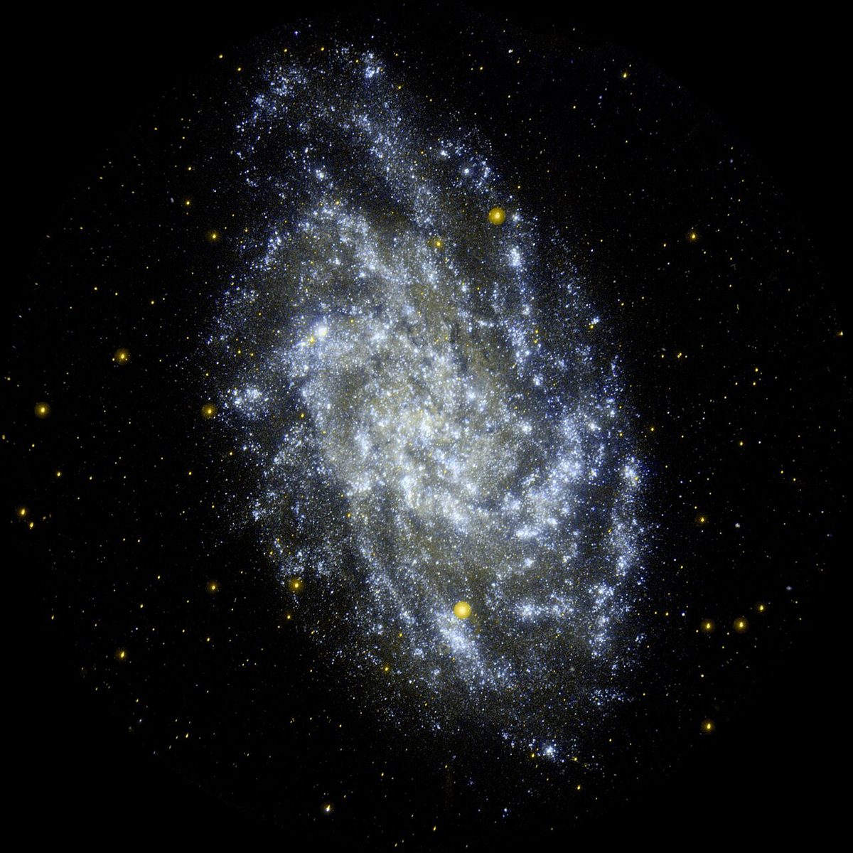 Photograph of Triangulum Galaxy (M33), a spiral galaxy in Triangulum
