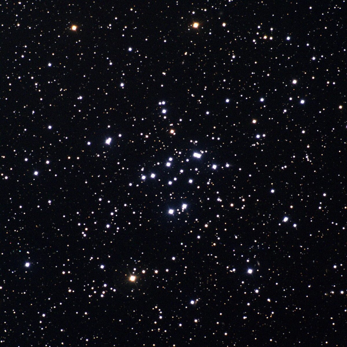 Photograph of M34, an open cluster in Perseus