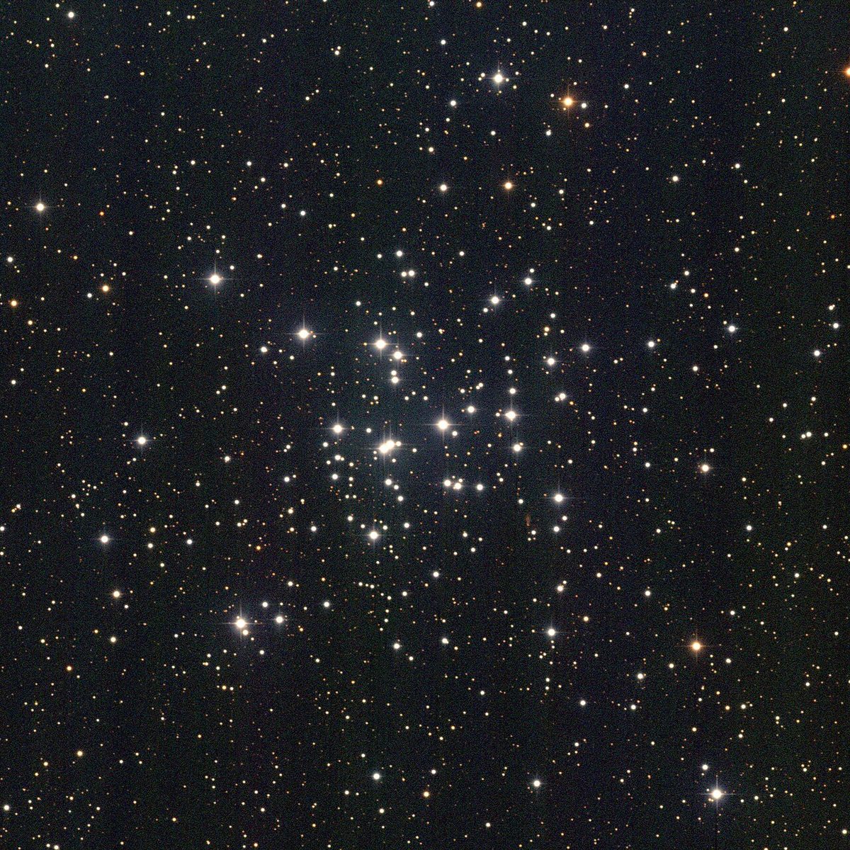 Photograph of Pinwheel Cluster (M36), an open cluster in Auriga