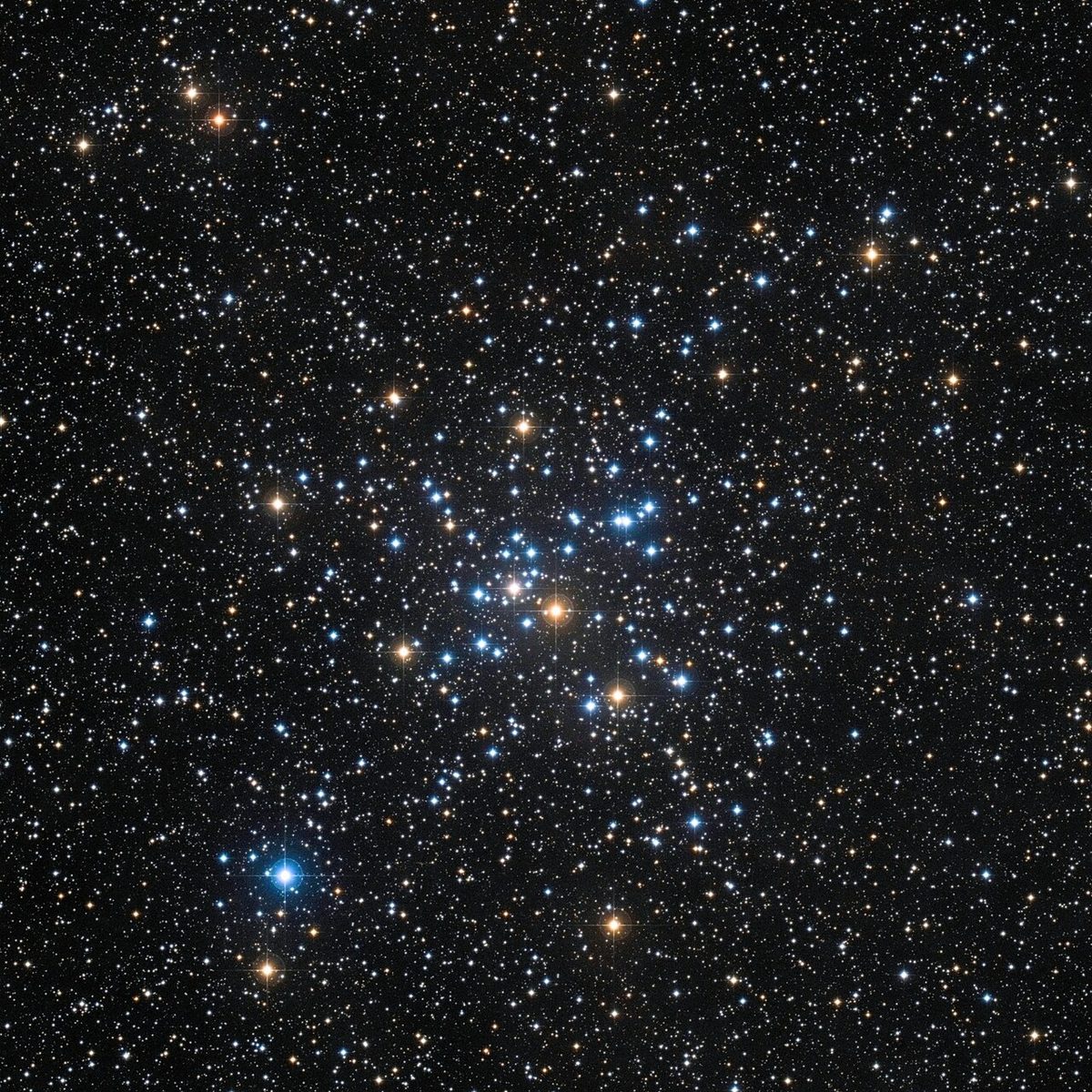 Photograph of Little Beehive Cluster (M41), an open cluster in Canis Major