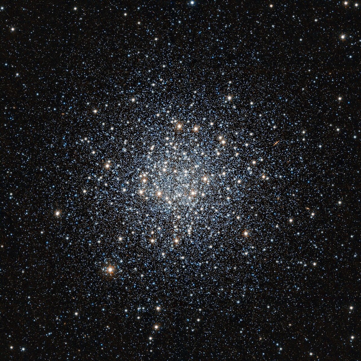 Photograph of Summer Rose Star (M55), a globular cluster in Sagittarius