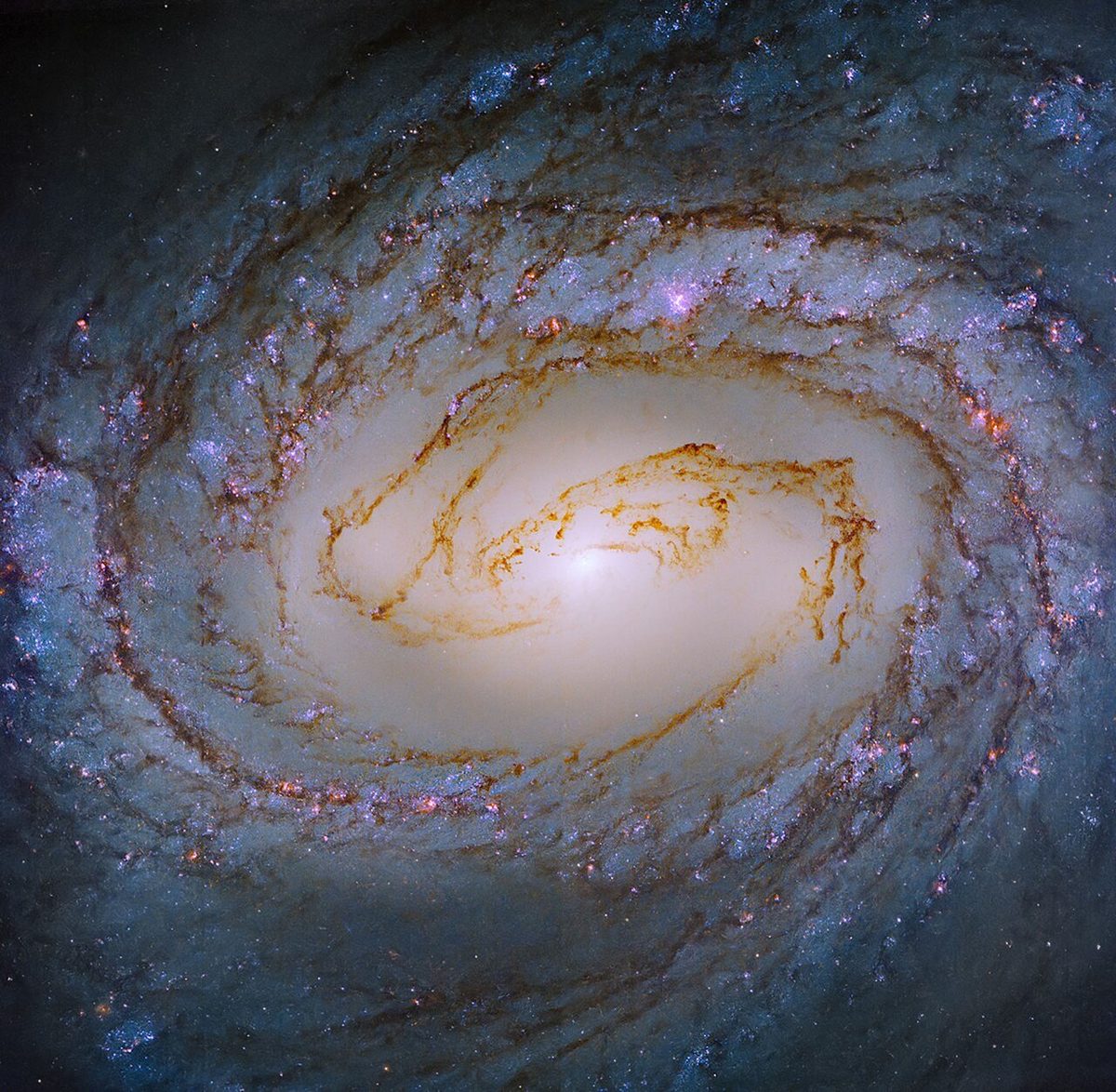 Photograph of M58, a spiral galaxy in Virgo