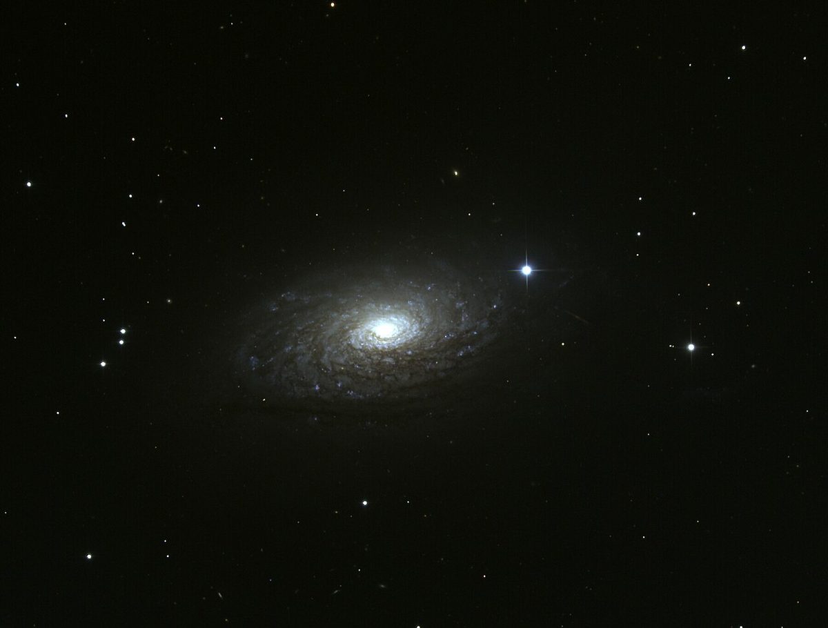 Photograph of Sunflower Galaxy (M63), a spiral galaxy in Canes Venatici