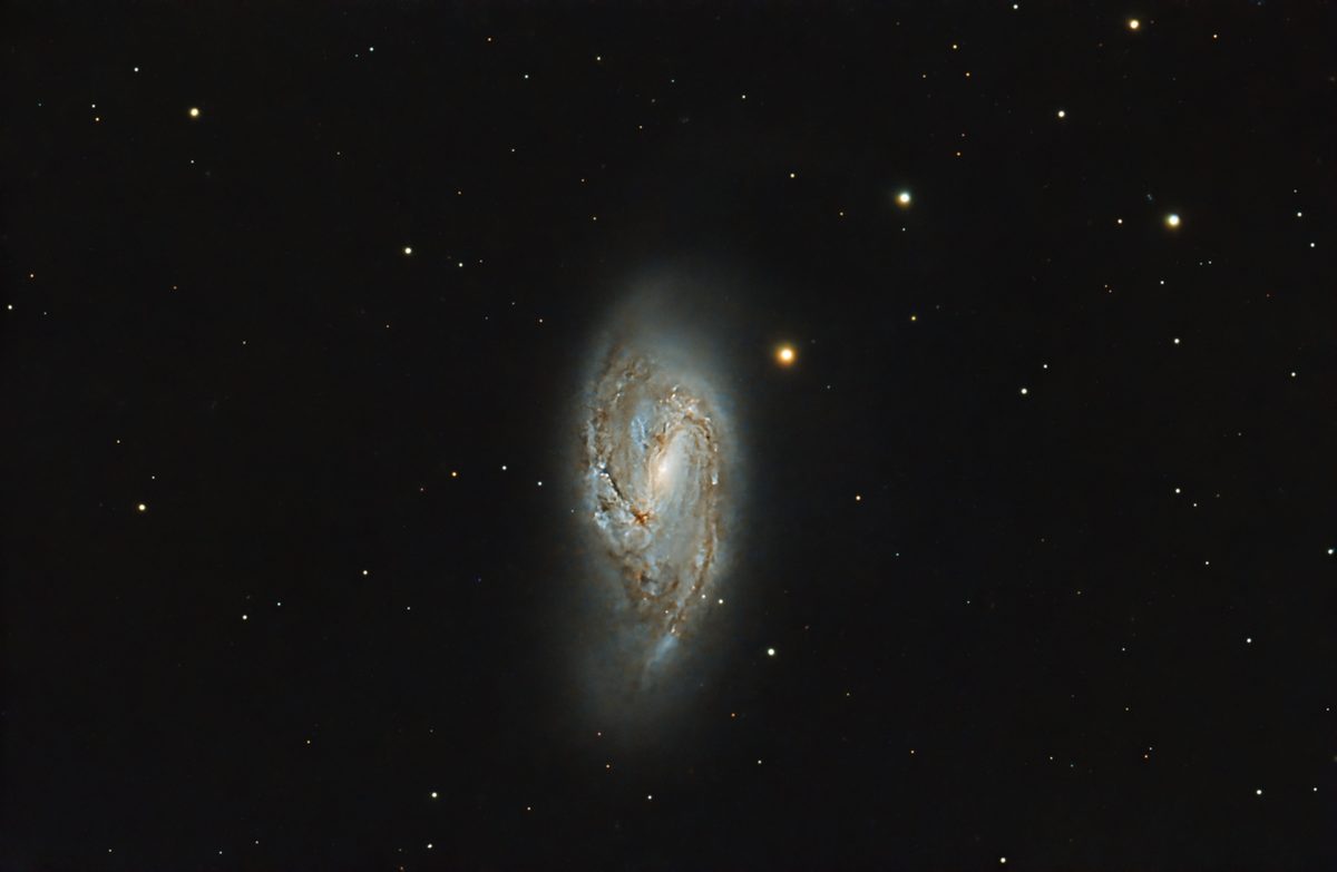 Photograph of Leo Triplet (M66), a spiral galaxy in Leo