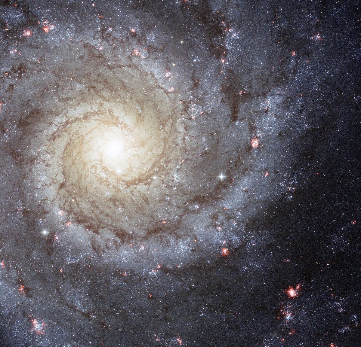 Photograph of Phantom Galaxy (M74), a spiral galaxy in Pisces
