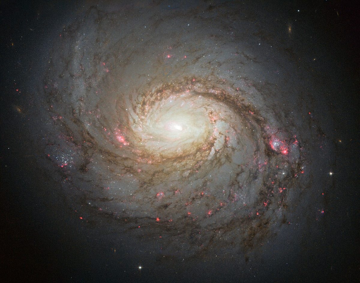 Photograph of M77, a spiral galaxy in Cetus