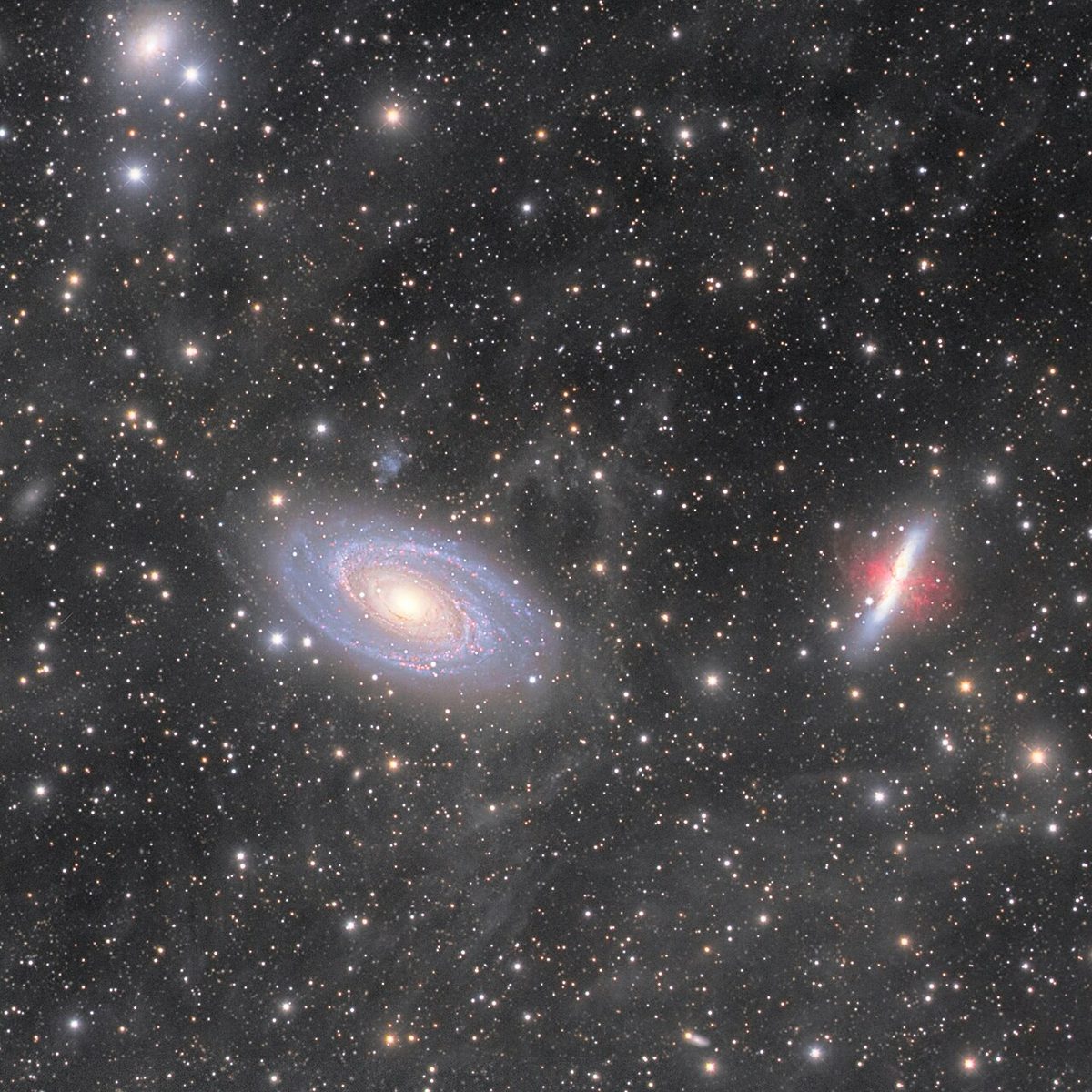 Photograph of Bode's Galaxy (M81), a spiral galaxy in Ursa Major