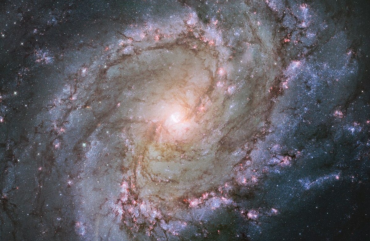 Photograph of Southern Pinwheel Galaxy (M83), a spiral galaxy in Hydra