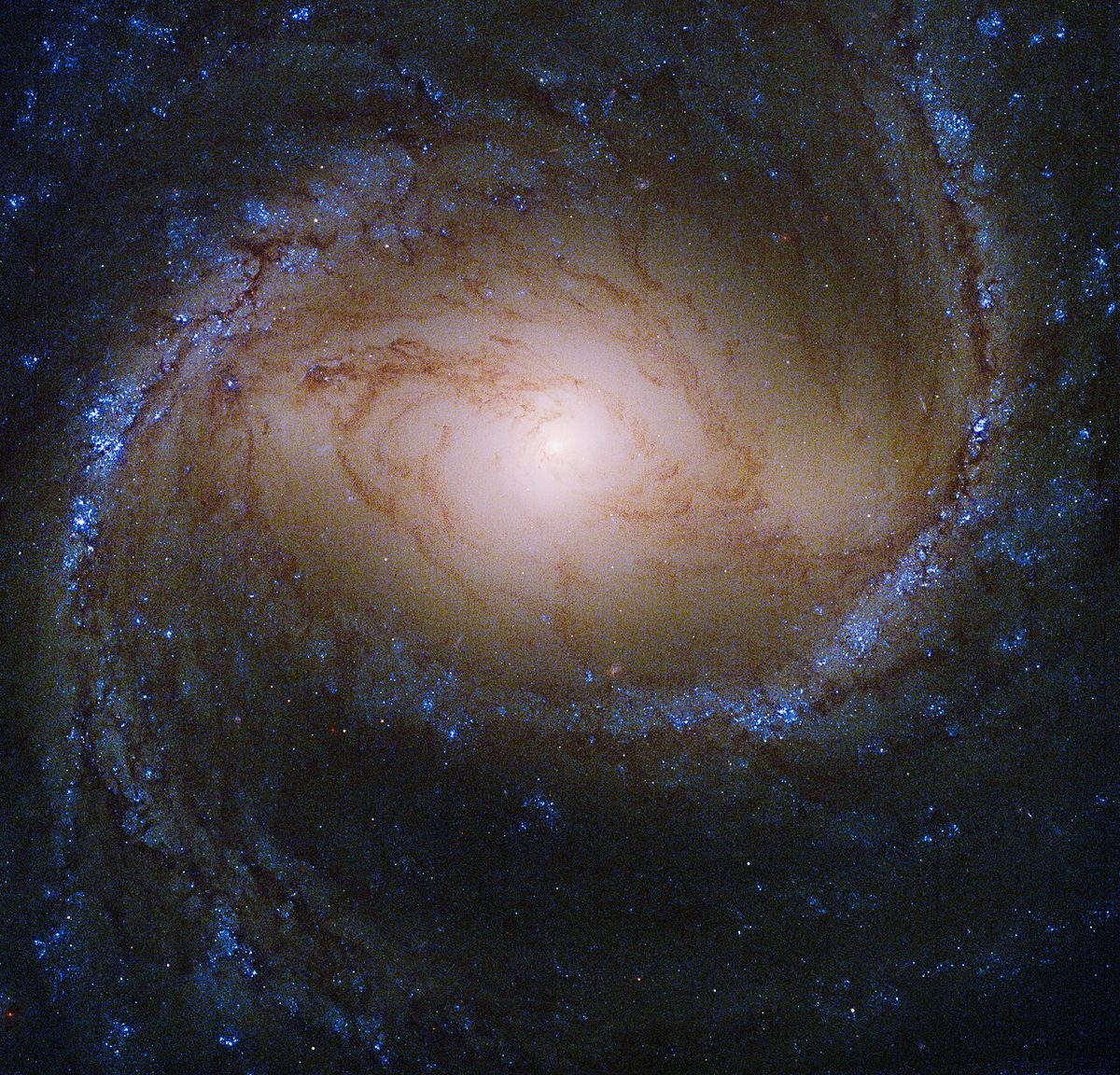 Photograph of M91, a spiral galaxy in Coma Berenices