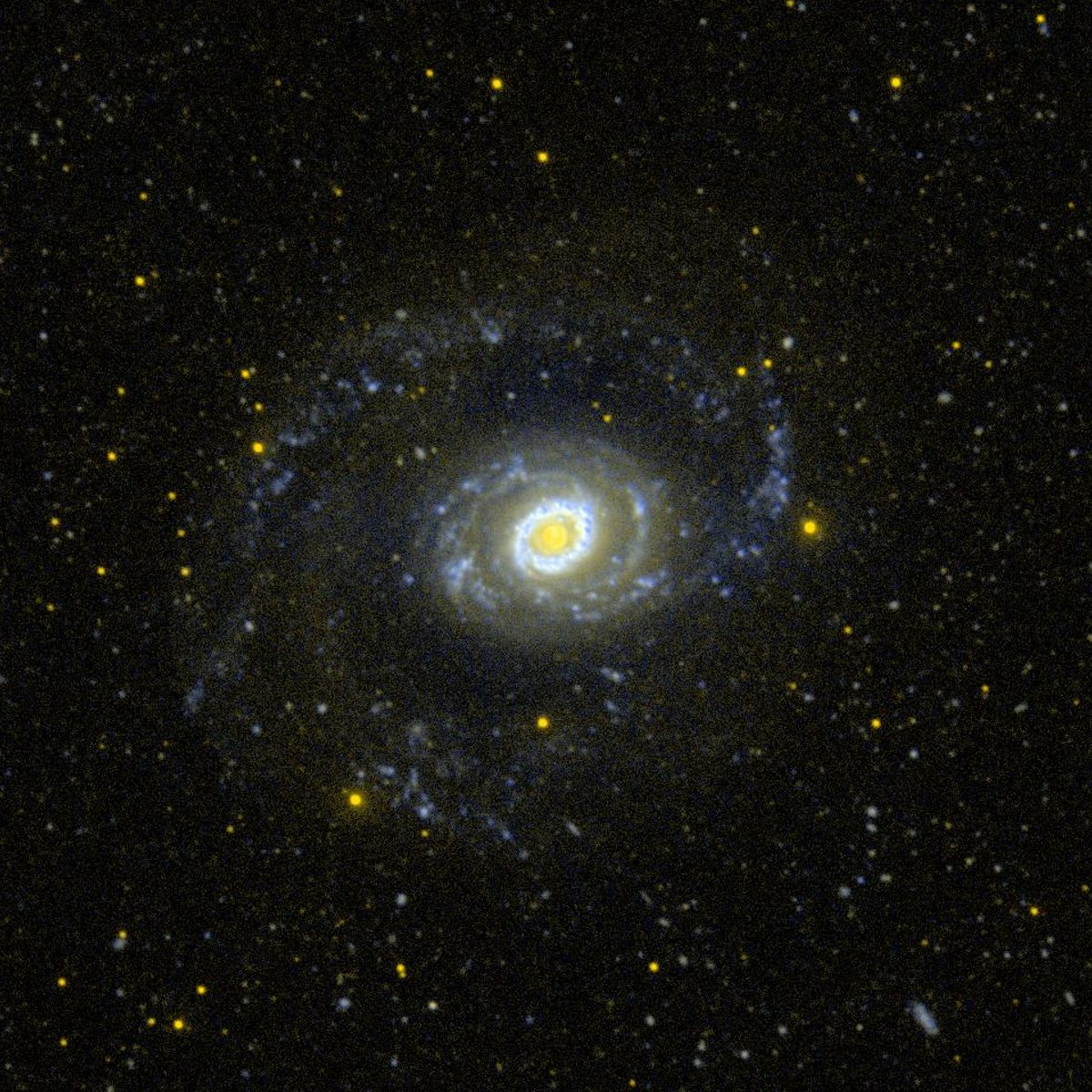 Photograph of Croc's Eye Galaxy (M94), a spiral galaxy in Canes Venatici