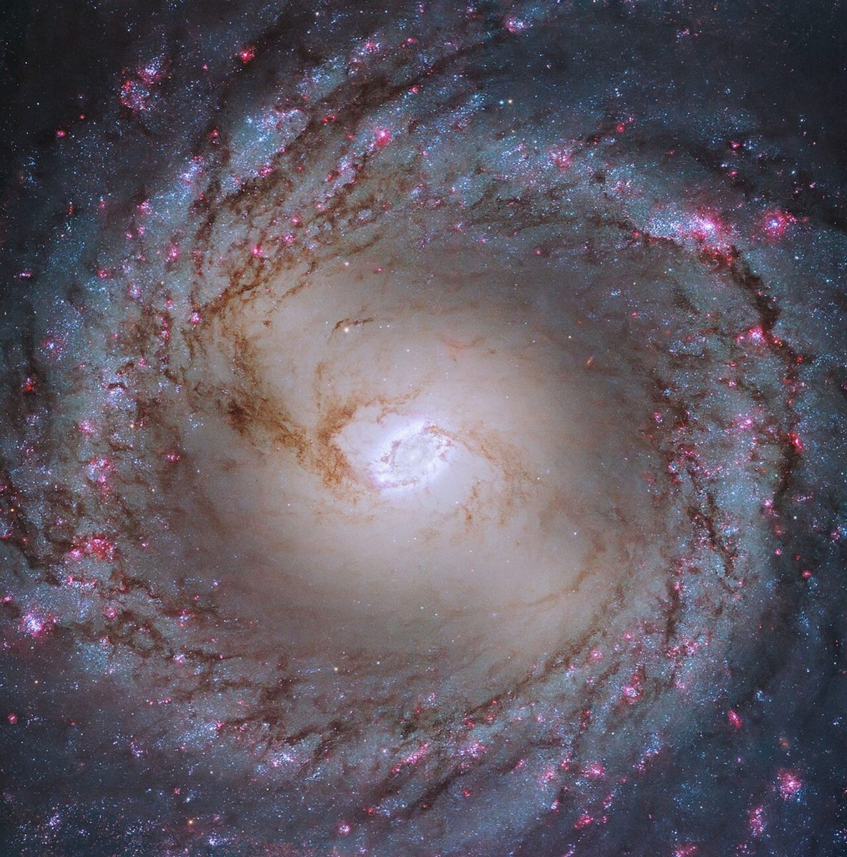 Photograph of M95, a spiral galaxy in Leo