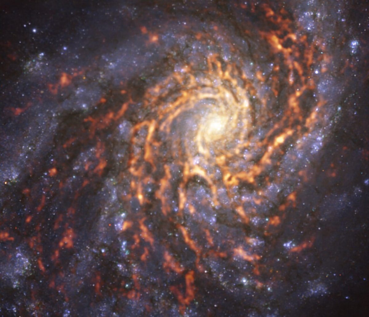 Photograph of Coma Pinwheel Galaxy (M99), a spiral galaxy in Coma Berenices