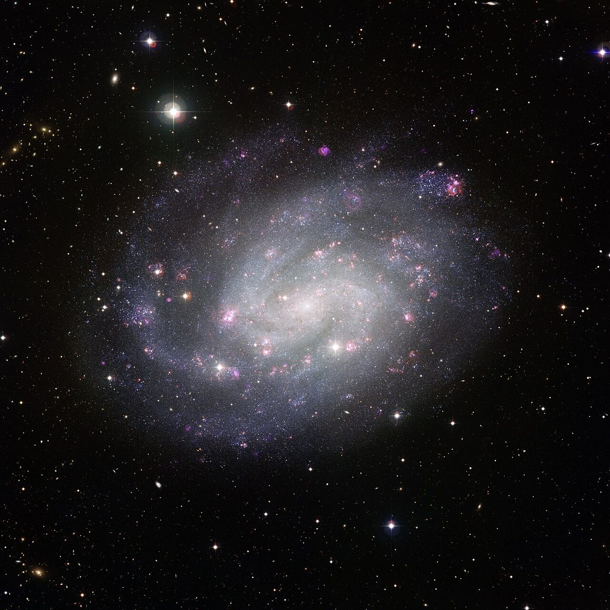Photograph of Sculptor Pinwheel Galaxy (NGC 300), a spiral galaxy in Sculptor