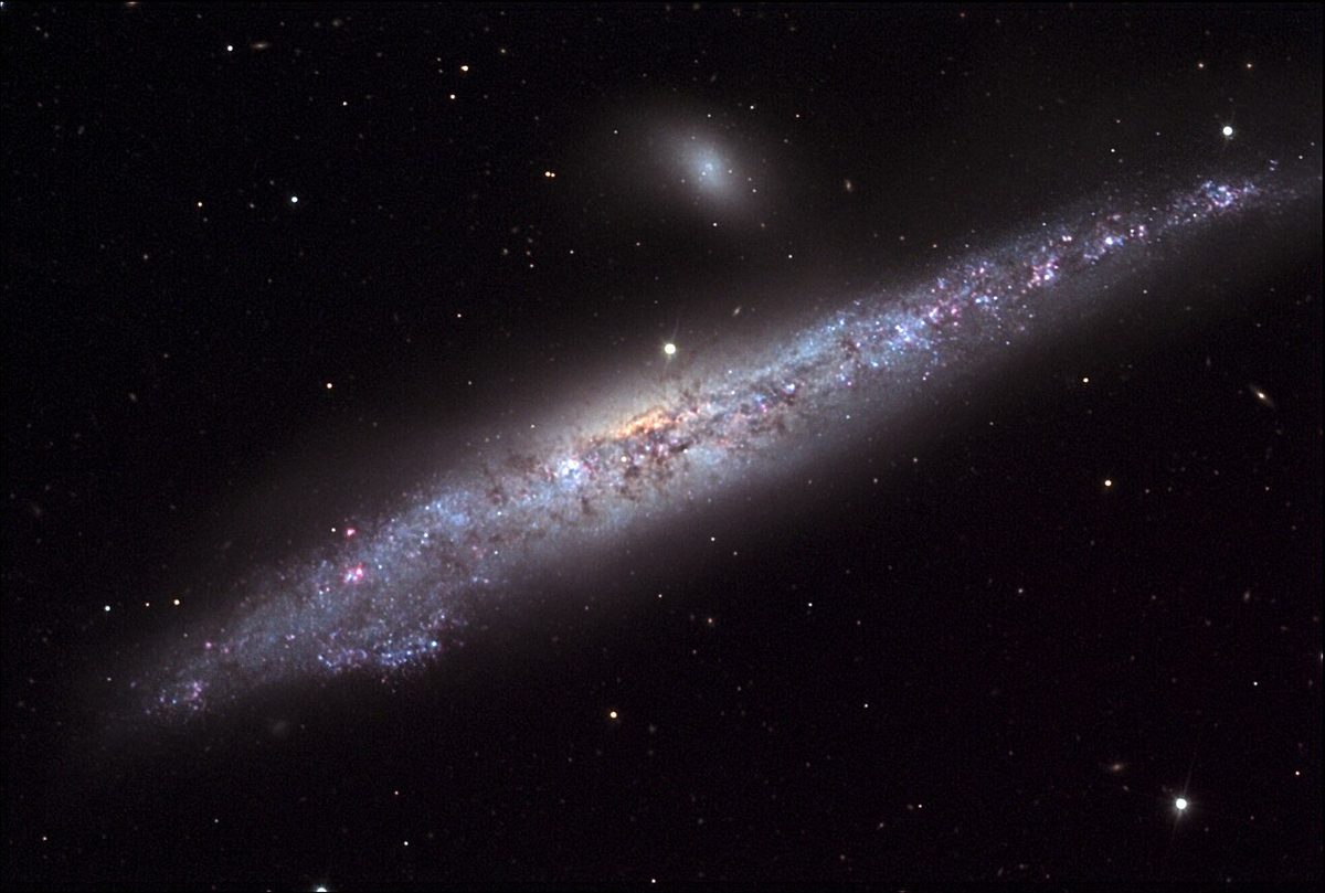 Photograph of Whale Galaxy (NGC 4631), an irregular galaxy in Canes Venatici
