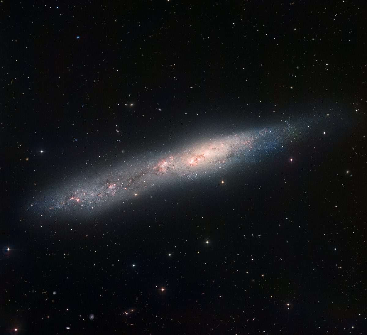 Photograph of String of Pearls Galaxy (NGC 55), an irregular galaxy in Sculptor