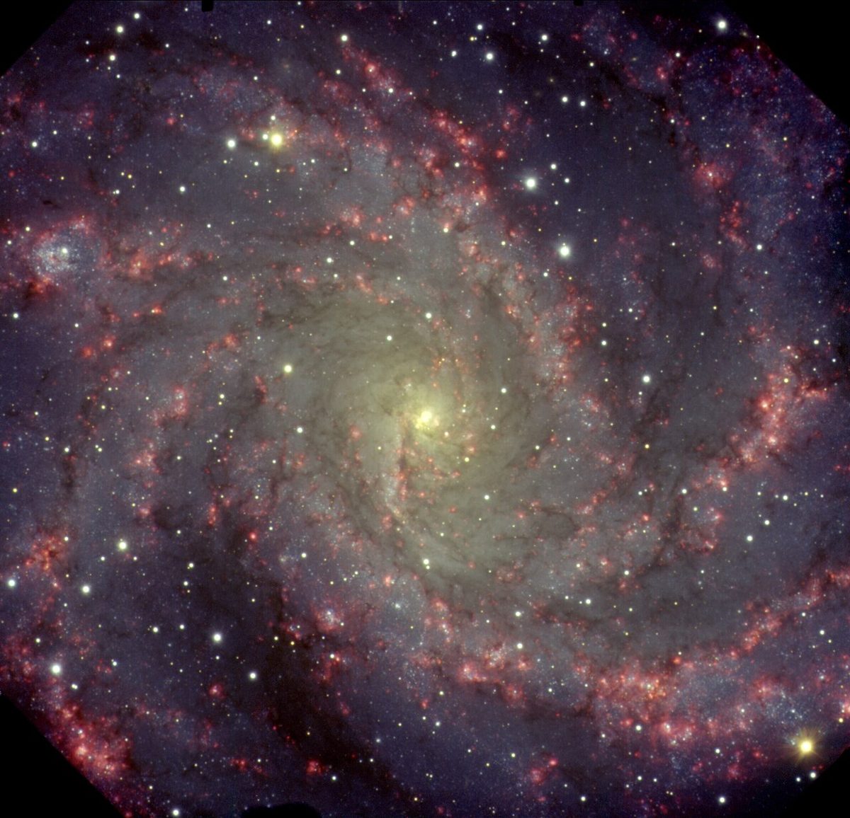Photograph of Fireworks Galaxy (NGC 6946), a spiral galaxy in Cepheus