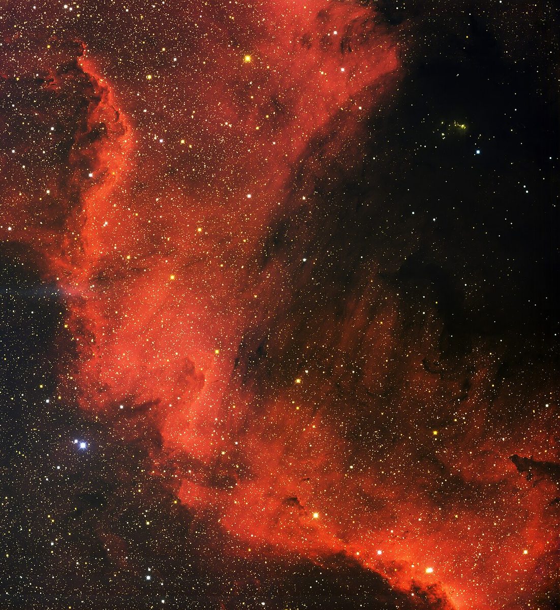 Photograph of North America Nebula (NGC 7000), an emission nebula in Cygnus