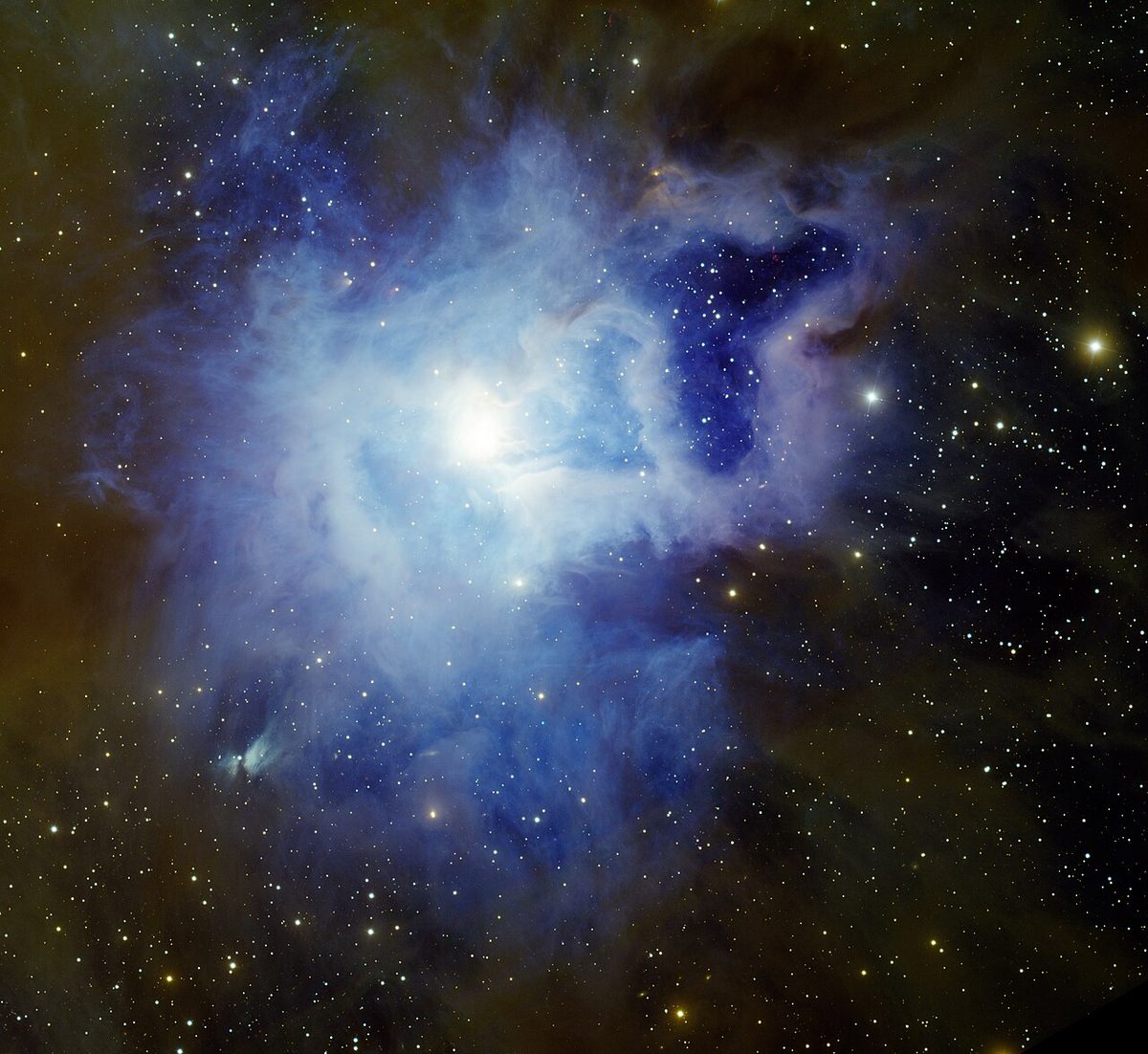 Photograph of Iris Nebula (NGC 7023), a reflection nebula in Cepheus